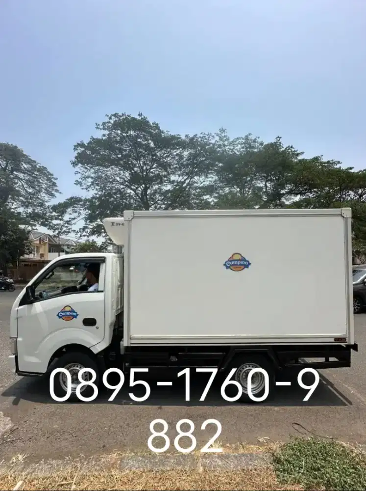 Box freezer ThermoKing lengkap dg Traga 2021 istimewa