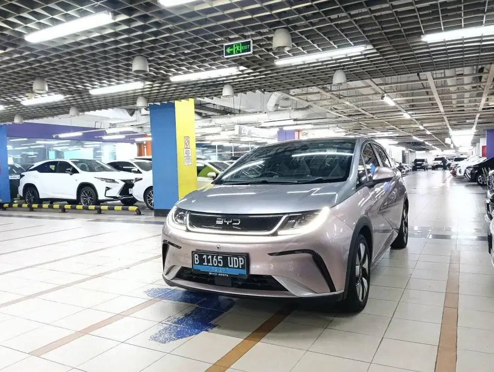 BYD EV Dolphin Premium Automatic 2024