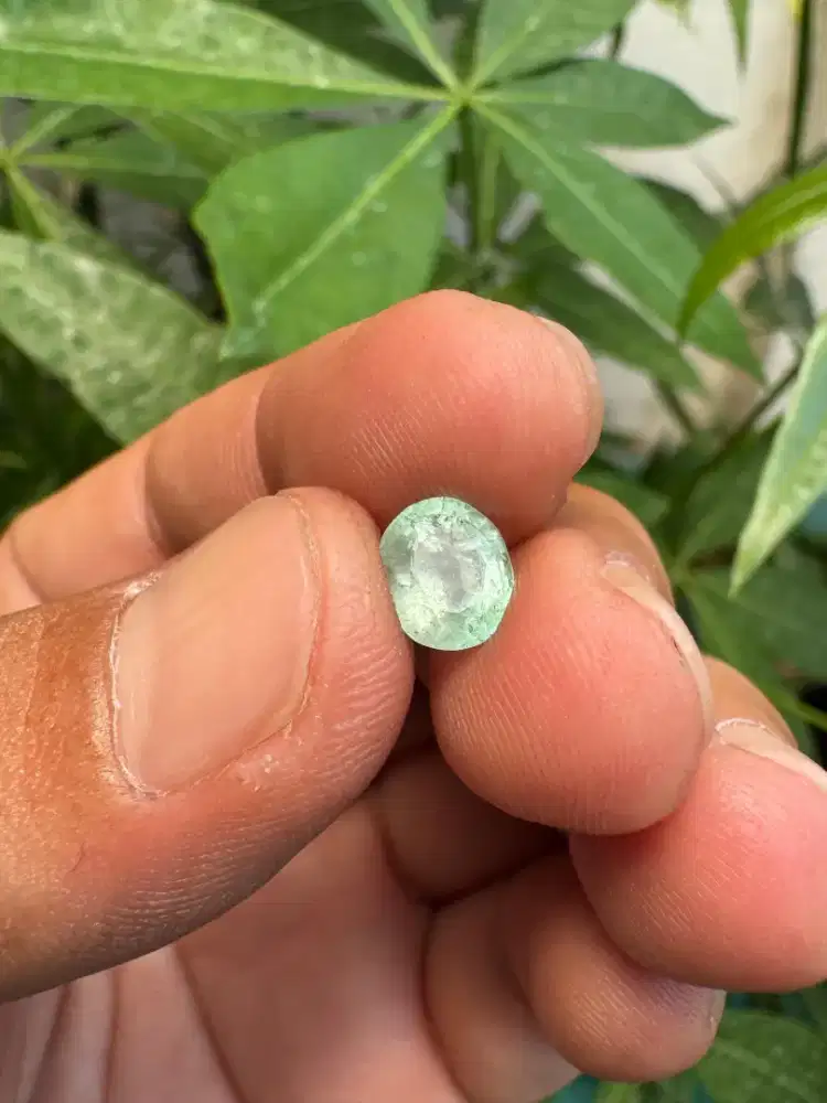 Natural hq zamrud colombia 1,81 ct emerald jamrud rare kristal clean