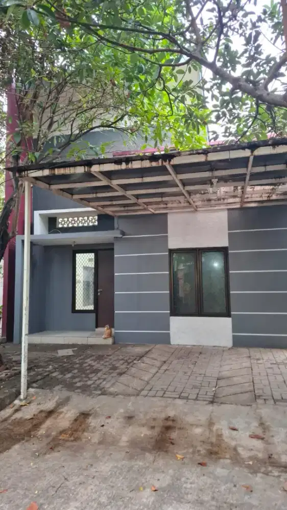 Rumah Asri di cilandak pondok labu