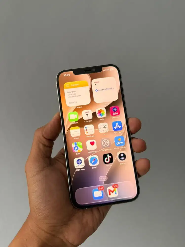 Iphone 12 Pro max TT/BT