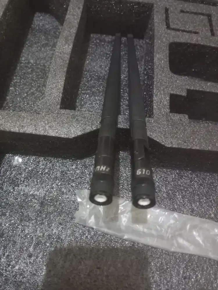 2 buah antena audio