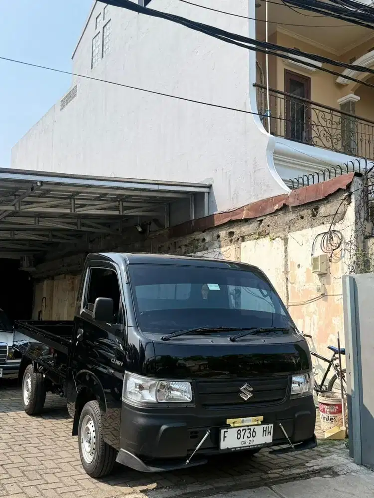 Carry pickup 2024