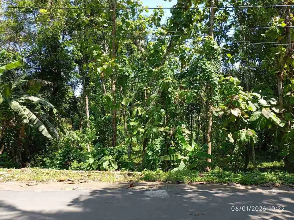 Bagi yang Kangen Suasana Kampung Tanah Darat Pinggir Jalan Siap Bangun diWangon Banyumas