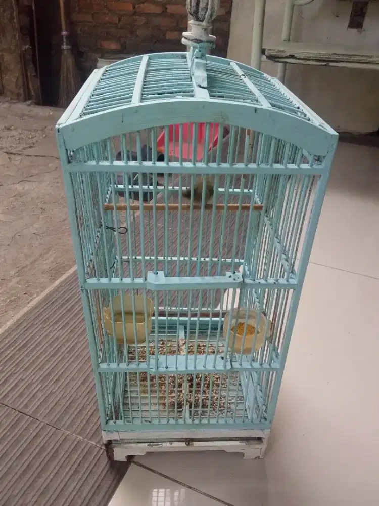 Kandang + isinya
