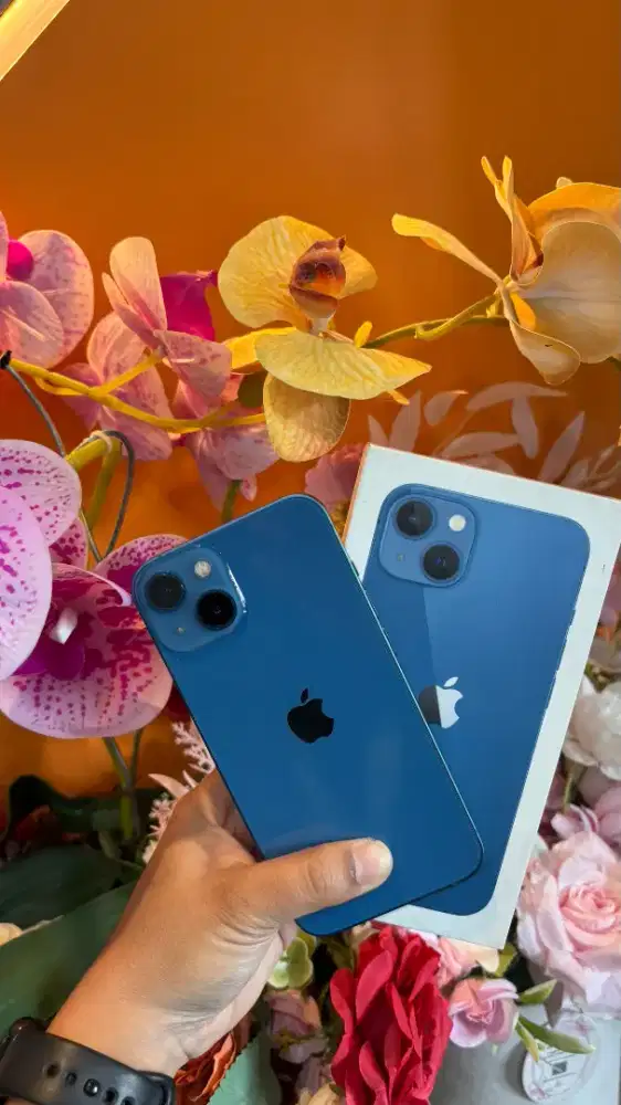 iPhone 13 256gb resmi indo