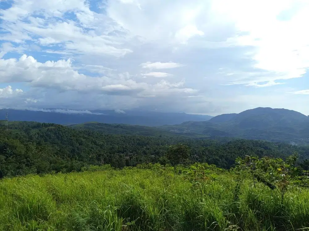 Di jual Tanah milik Pribadi