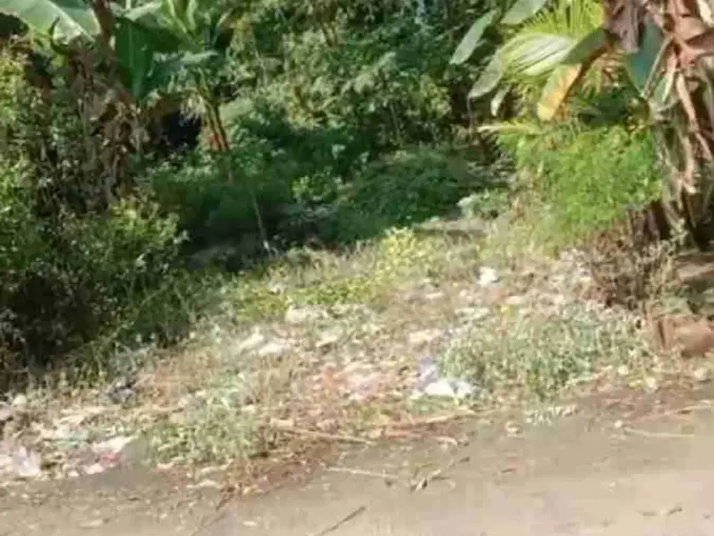 Tanah Di jual