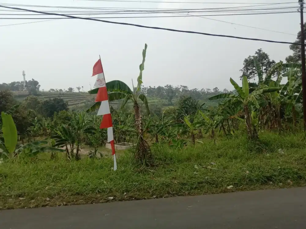 Dijual Tanah 3,2 Hektar di Lido, Bogor