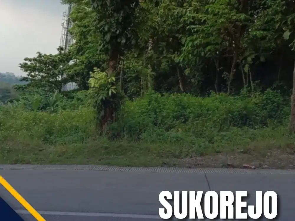 Dijual Tanah di Gunung Pati Semarang