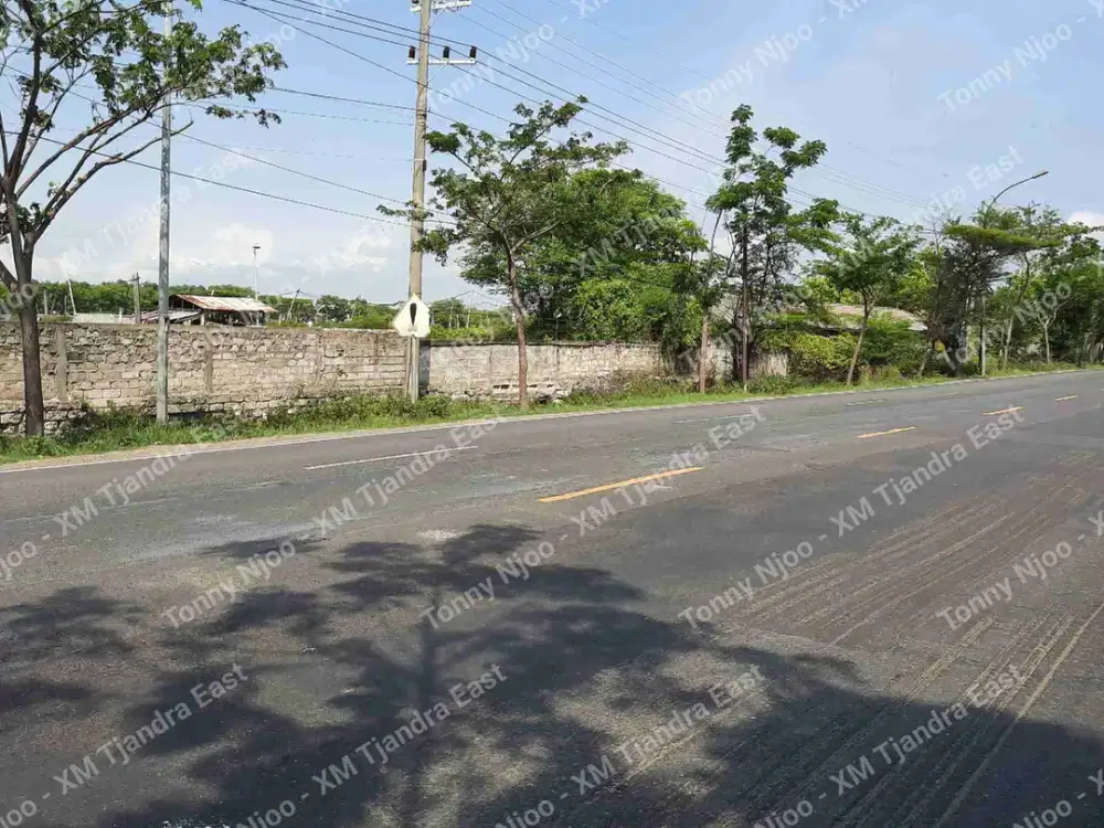 Dijual Tambak Aktif di Raya Jenu Nol Jalan Pantura Tuban
