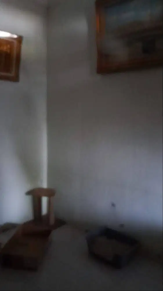 sewa rumah bulanan jakarta timur luas 150m