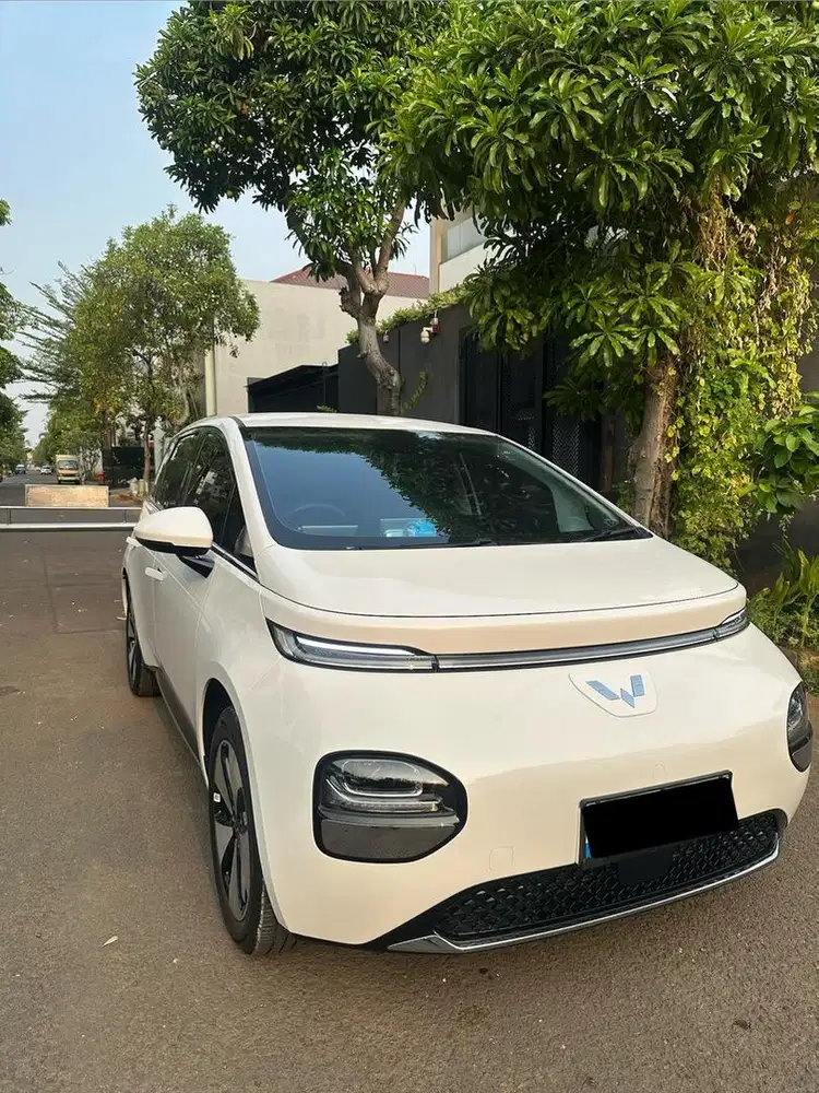 Wuling Cloud EV KM5Rb(Cash) CCS2 460 KM Lite 2025 2026