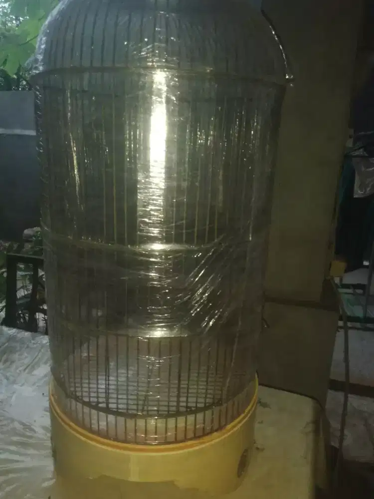 Kandang Ebod Lovebird