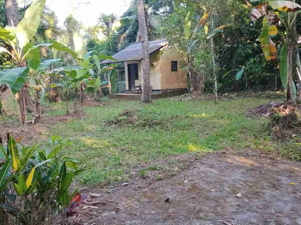 Dijual Tanah di Jln utama Batukaru