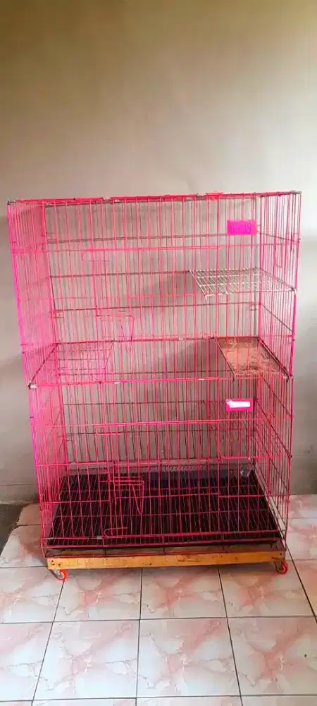 Kandang kucing jumbo