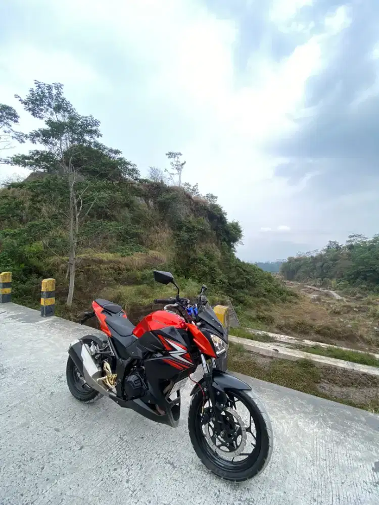 NINJA Z 250 2014