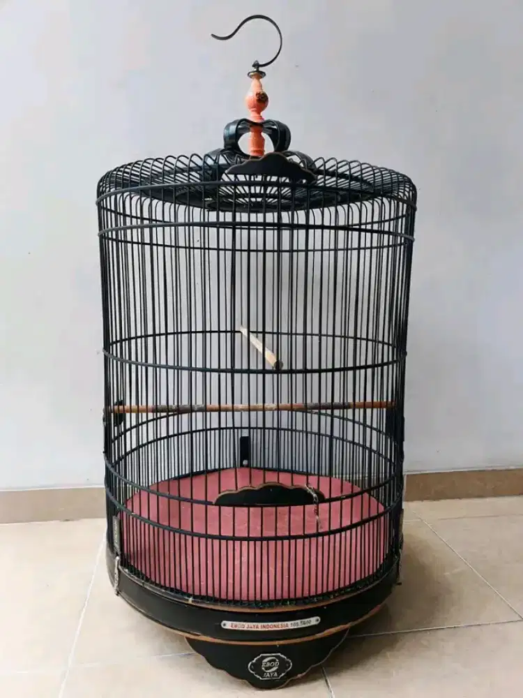 kandang murai ebod jaya