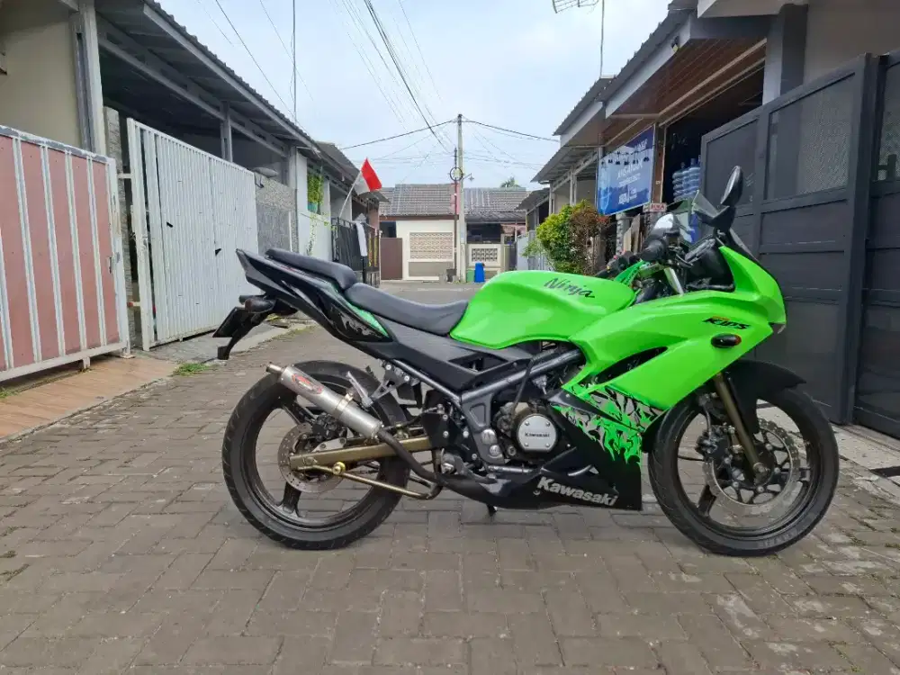 Ninja RR New 2013