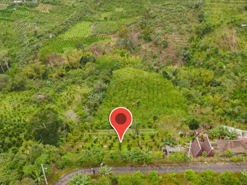 Jual Lahan Murah 20 Are View Bukit Hijau di Pelaga Badung Bali