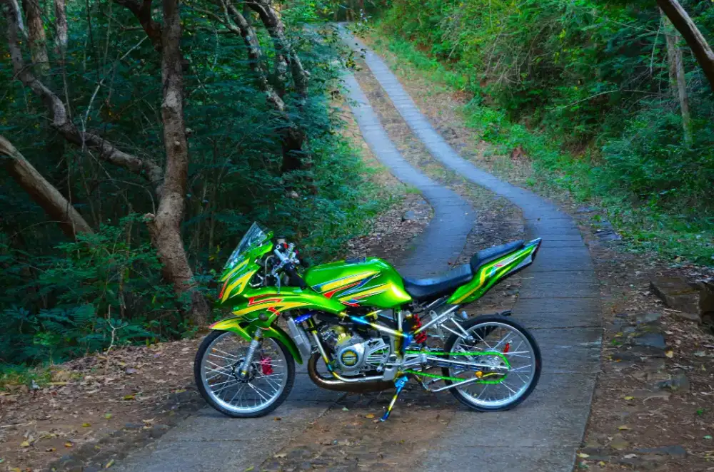 Ninja RR 2014 modif ganteng