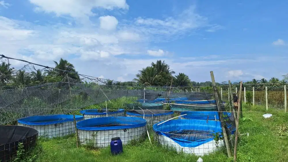 dijual tanah pinggir jalan cocok untuk usaha