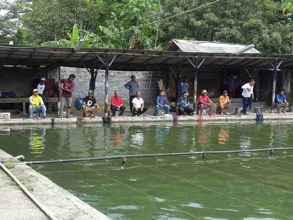 Dijual Tanah ads kolam pemancingan Ikan di Bantarjati Bogor Utara.