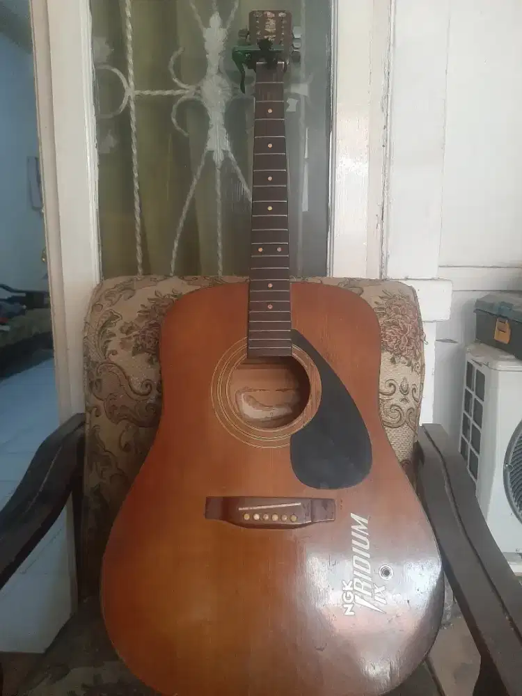 Kaebu guitar import