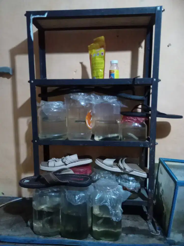 Rak buat ikan cupang.ikan chana dan aquarium aklirik