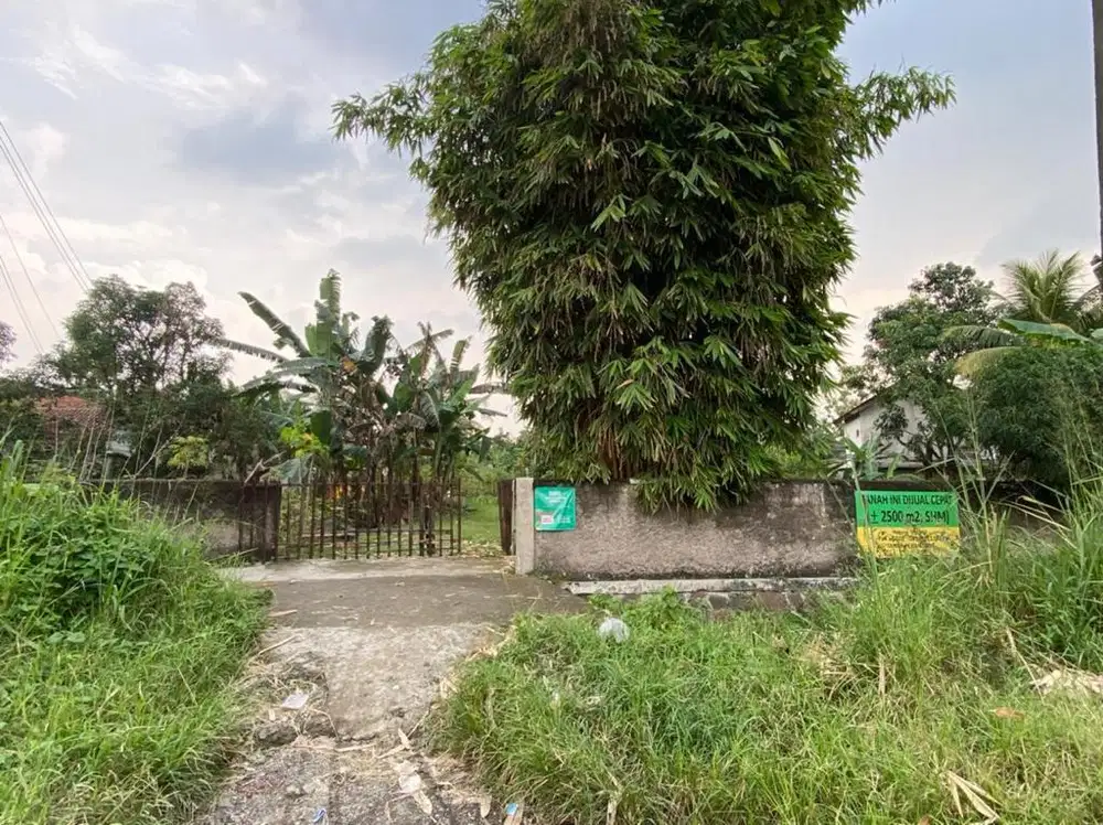 DIJUAL TANAH CIOMAS HARAPAN