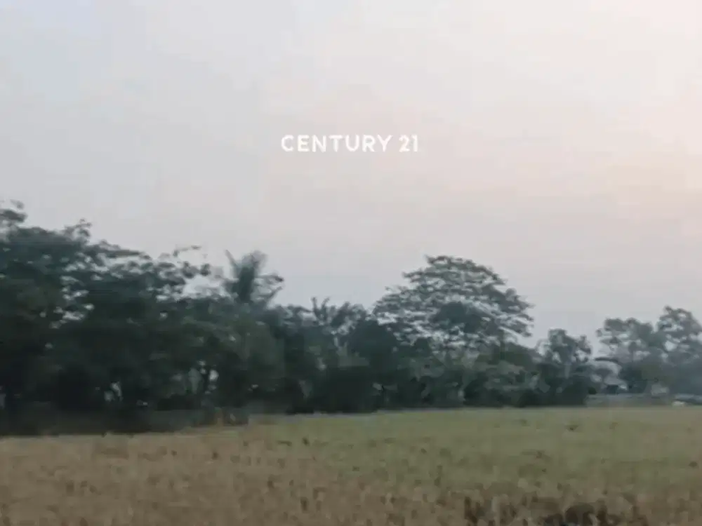 DIJUAL TANAH STRATEGIS DI CIPAYUNG CIKARANG TIMUR