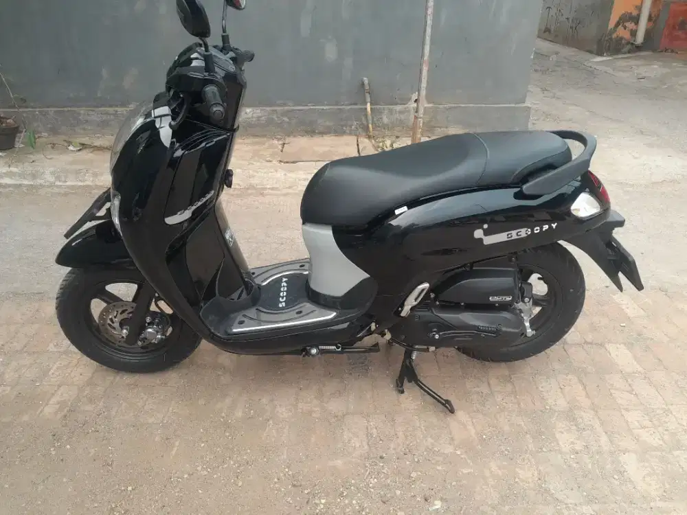 Scoopy pajak idup