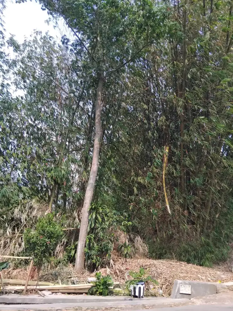 Dijual Tanah 651 M² Katapang Dekat Jalak Harupat