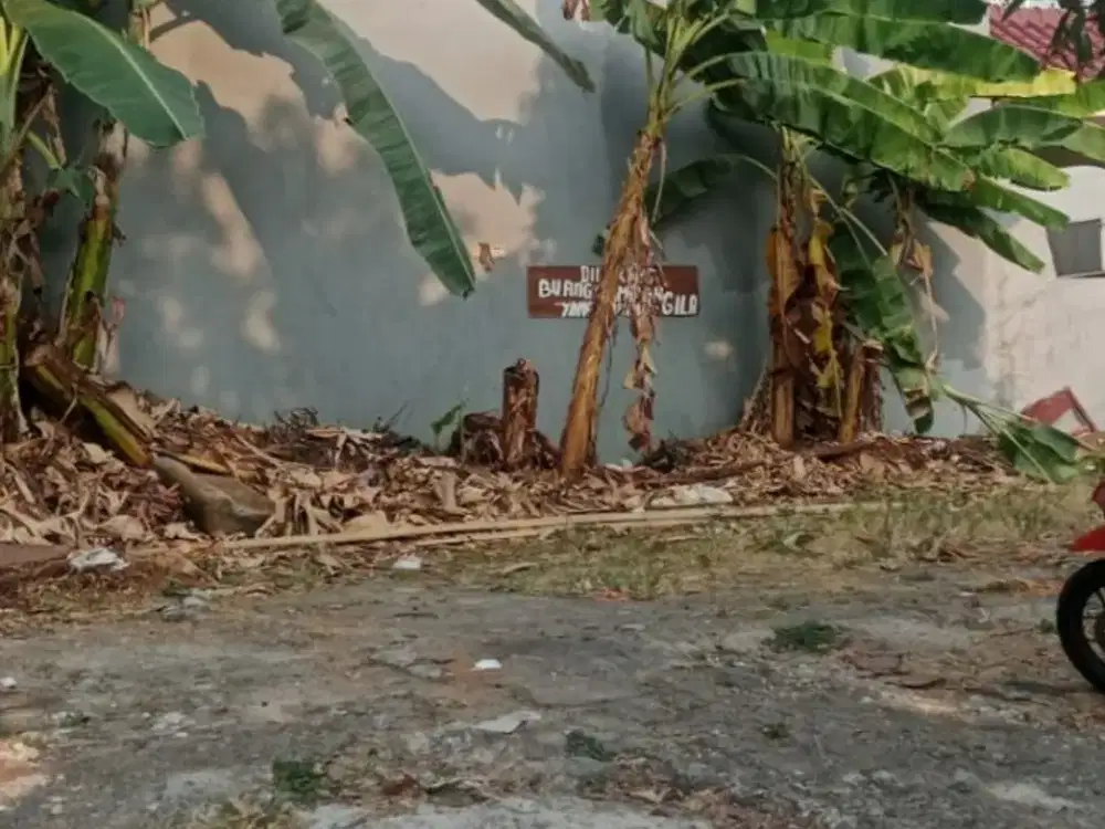 Tanah Kavling di Pondok Kelapa Harga Murah Dekat ke Jalan Raya dan Tol Becakayu