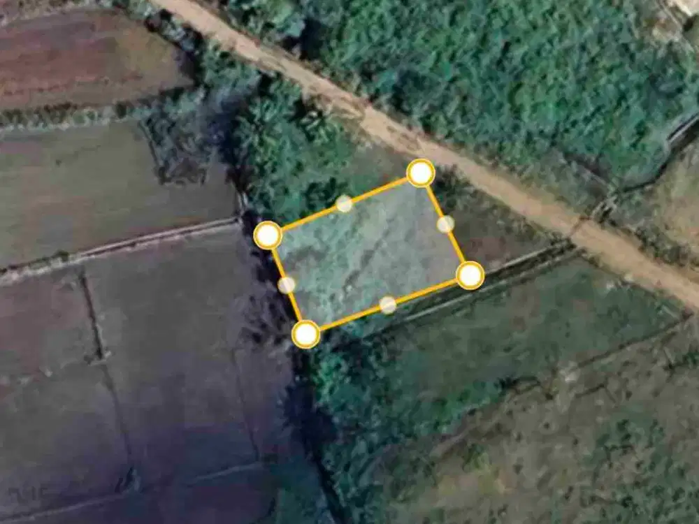 Jual Tanah Sawah/Kebun