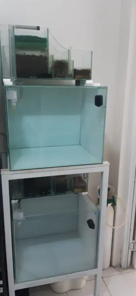 Aquarium akuarium breeding discus manfish fullset