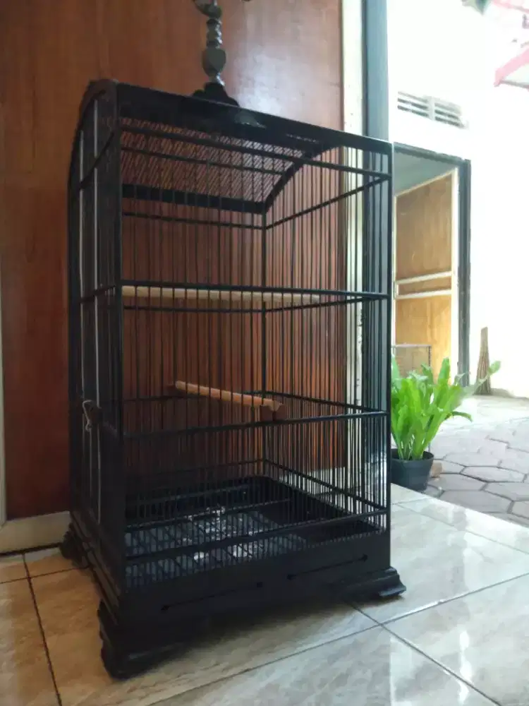 Sangkar kosan ceper 40 x 40