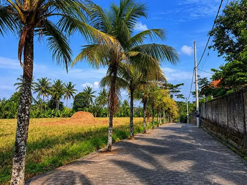[AMS-102.BLR] Dijual Tanah Kavling Siap Bangun - di dalam Perumahan Denbantas Tabanan