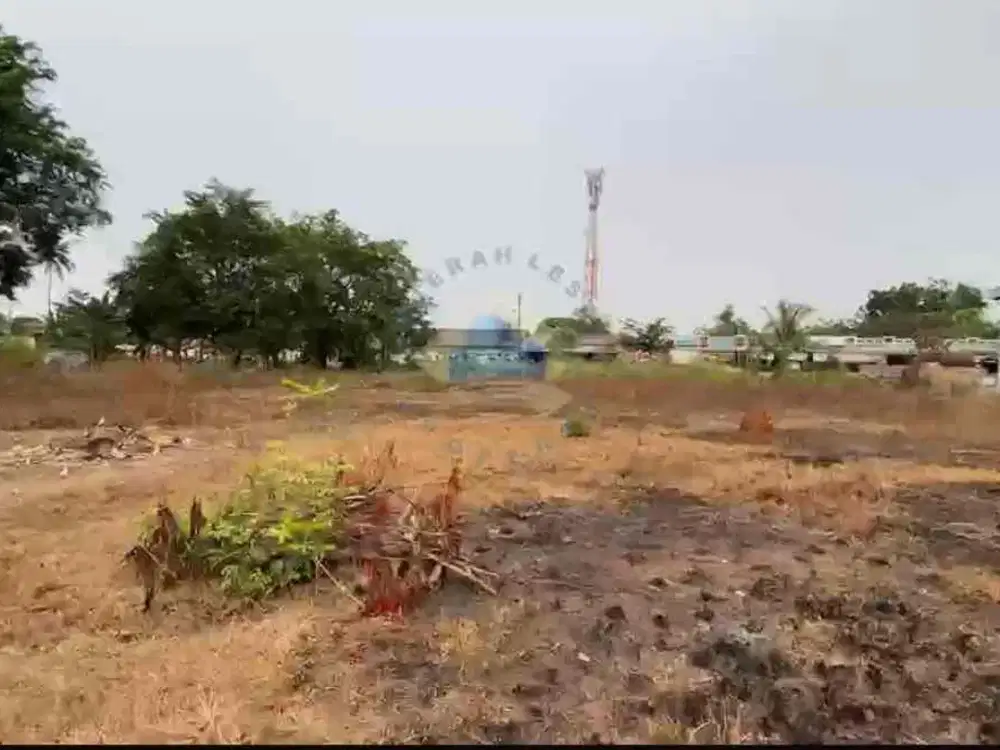 Jual Tanah Murah di Jl Raya Legok