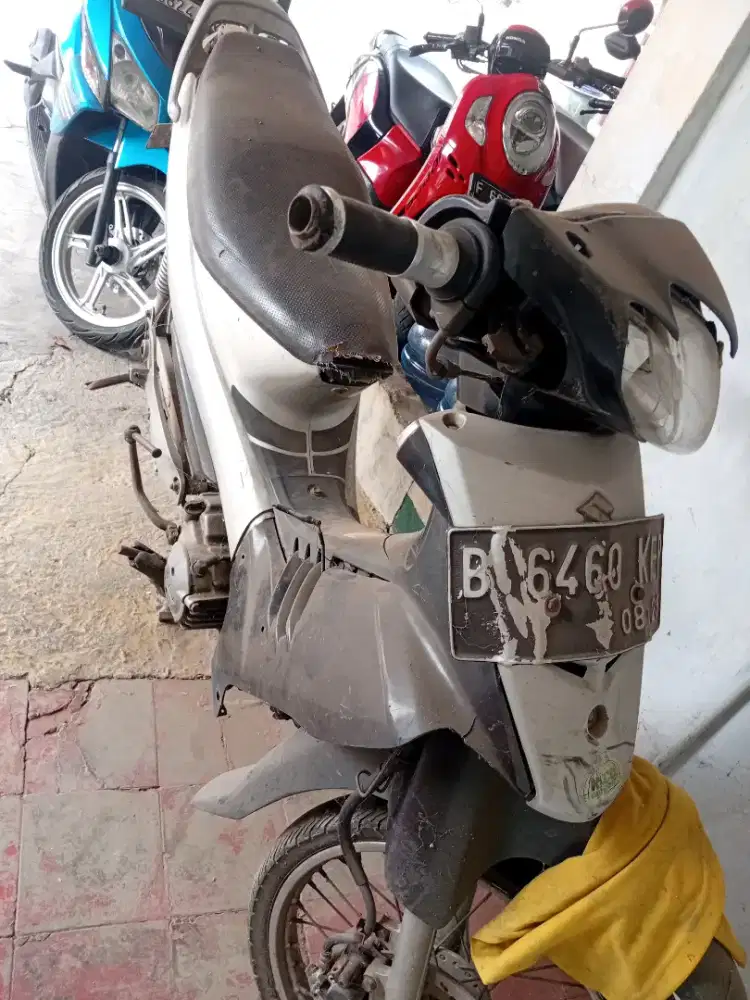 Matot tidak hidup