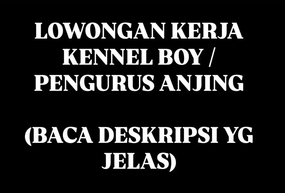 LOWONGAN KERJA KENNEL BOY / PENGURUS ANJING