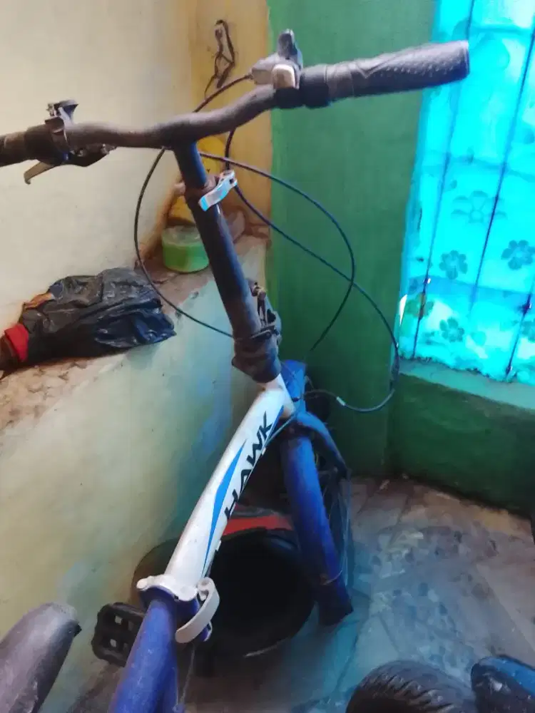Sepeda bekas warna biru