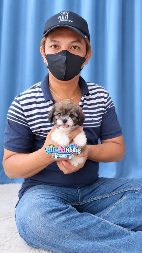 Poodle Party Cuakep puoll
