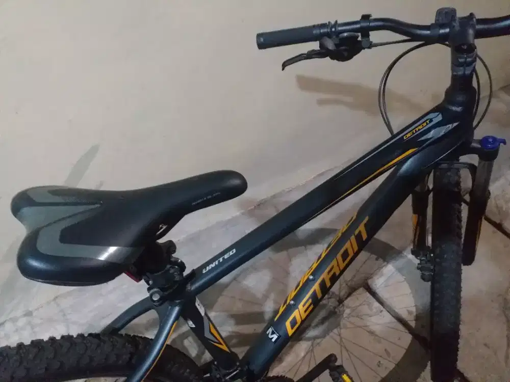 Sepeda anak dan Dewasa