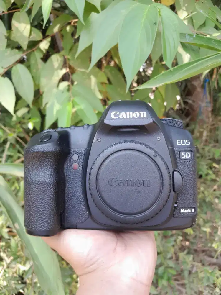 Bo canon 5d mark ii