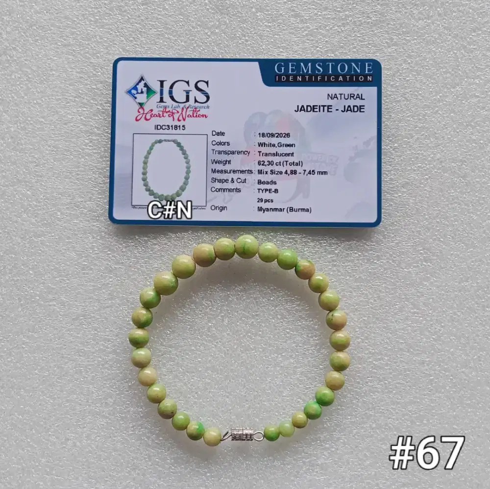 Gelang batu natural jedeite jade type B. giok Burma. Gem id card IGS