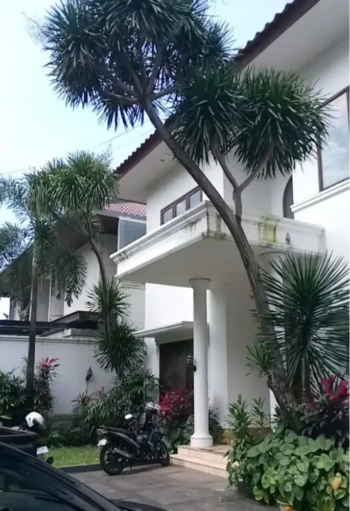 Jasa tukang cat dinding baru/lama