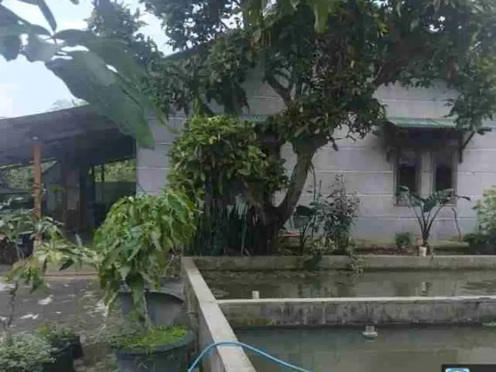 Rumah Jalan Maduhur Pasir Jaya Kab Bogor