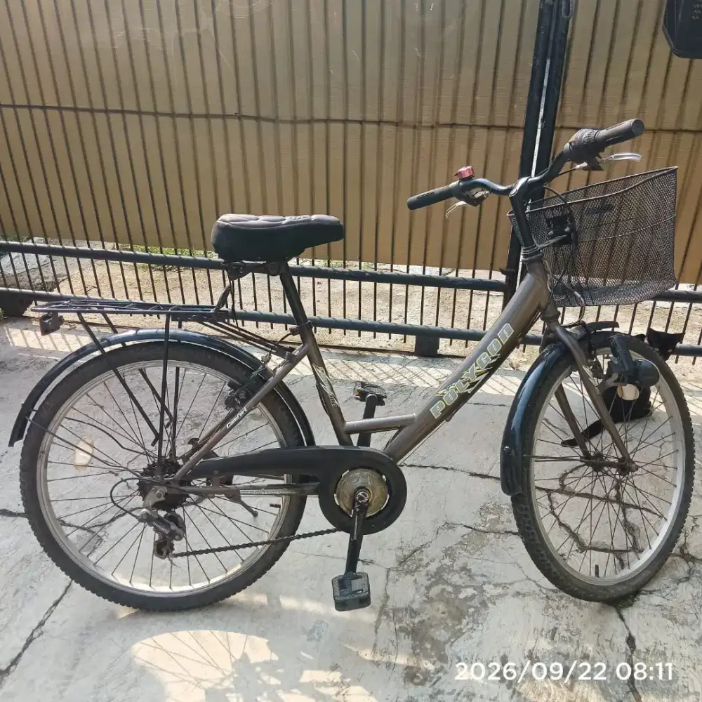 Sepeda Mini Bekas Polygon Cameo100