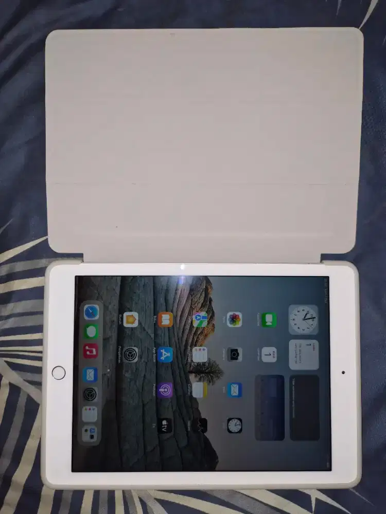 Apple Ipad Air 2 warna silver, nego